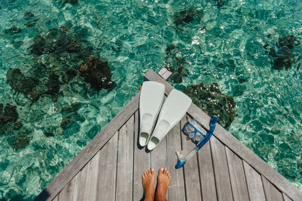 Sorrento Snorkeling