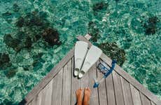 Sorrento Snorkeling