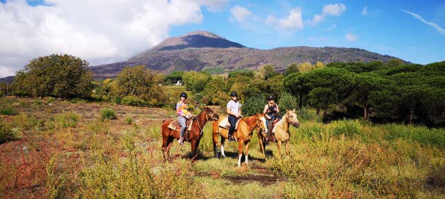 Pompeii Tour + Horseback Ride with Wine Tasting