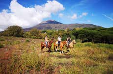 Pompeii Tour + Horseback Ride with Wine Tasting