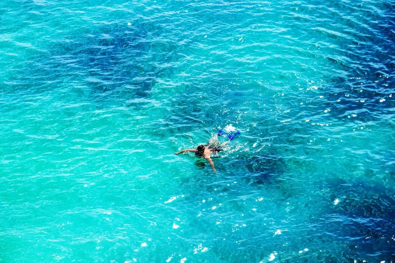 Snorkel en la isla de Ponza