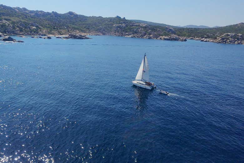 Un catamarán a vela navegando en un día soleado