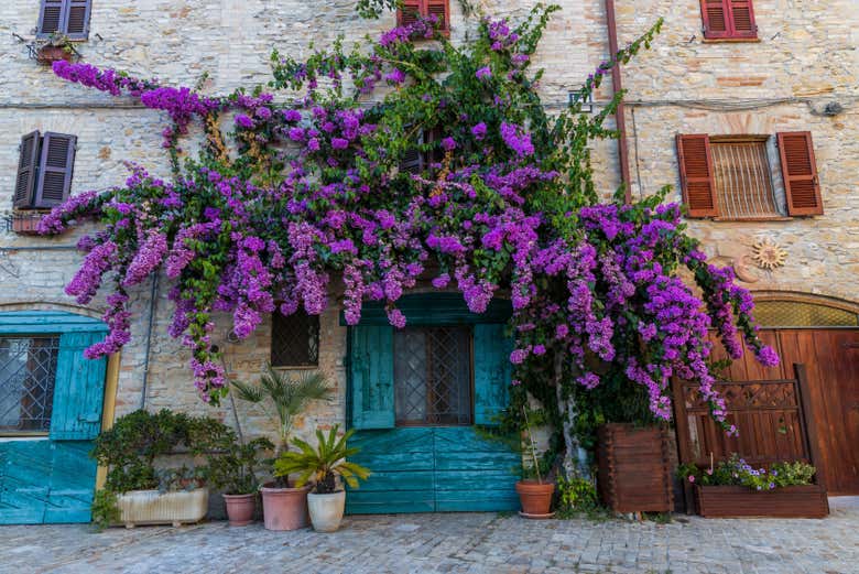 Seeing the façades of the houses