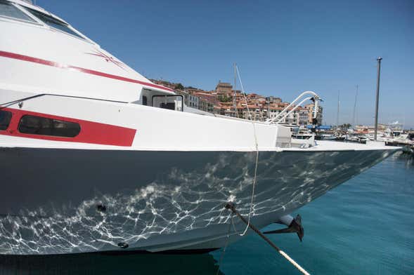 Crucero por la isla de Giglio y las calas de Argentario