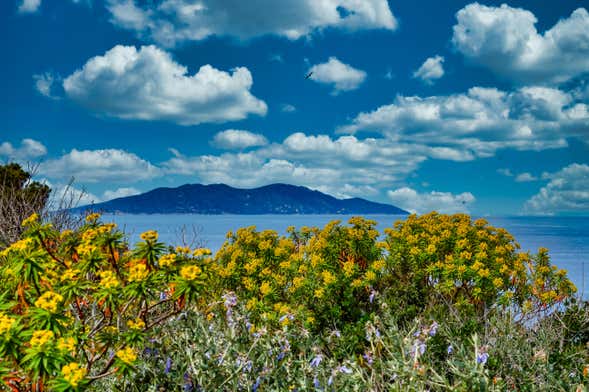 Excursión a las islas Giglio y Giannutri