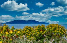 Excursión a las islas Giglio y Giannutri