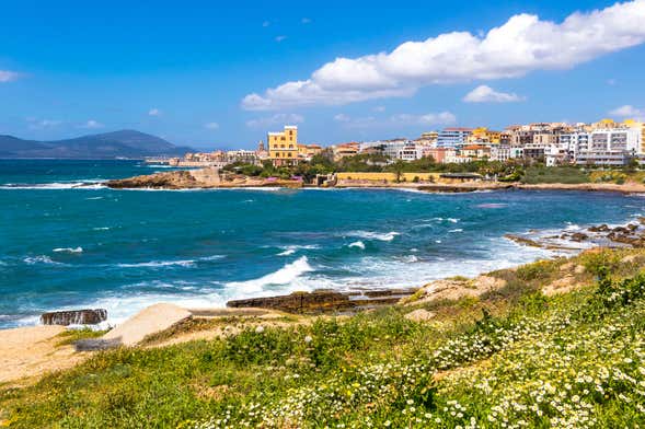 Excursión a Alguer para cruceros