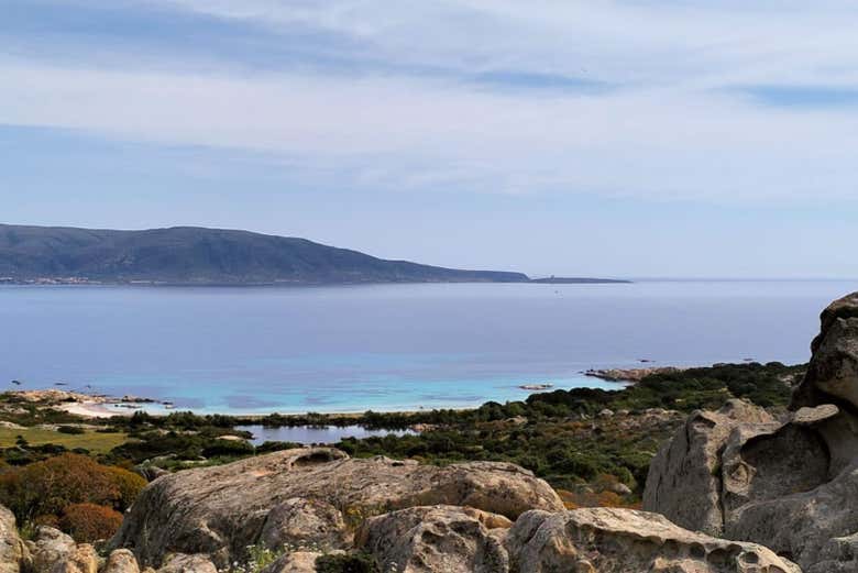 Une plage de l'île