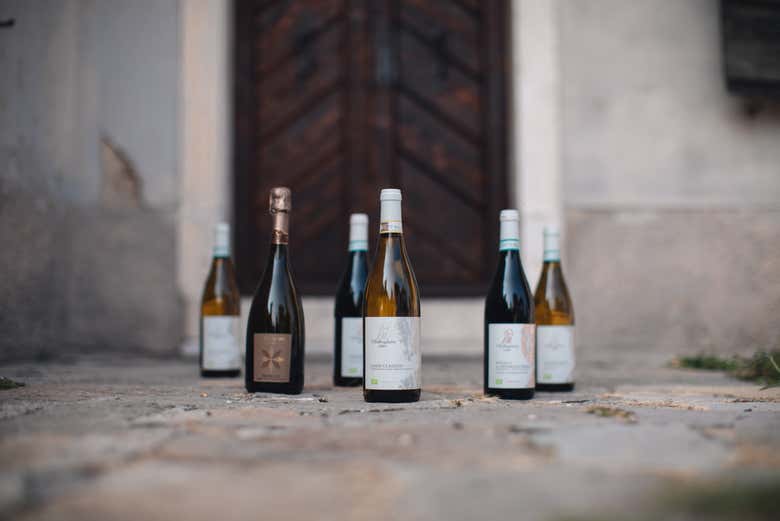 Varias botellas de vino de la bodega