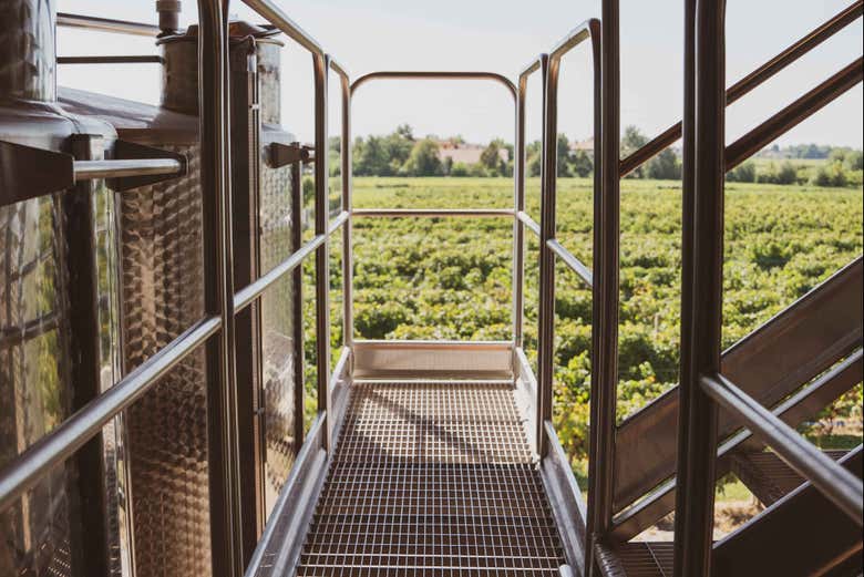 Instalaciones exteriores de la bodega