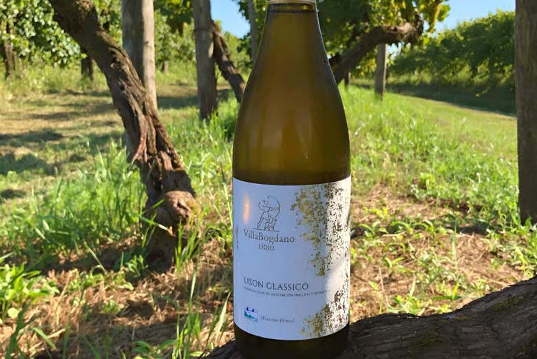 Una botella de vino de Villa Bogdano