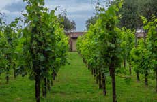 Ornella Bellia Winery Tour + Tasting