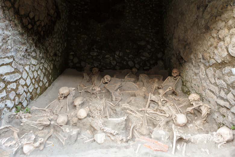 Skeletons found in Herculaneum