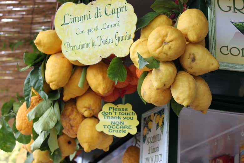 Los típicos limones de Capri