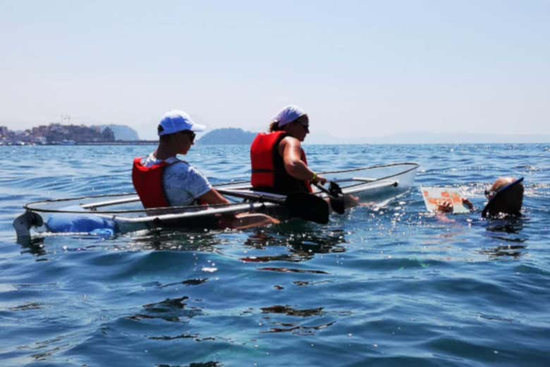 Pendant la visite en canoë 
