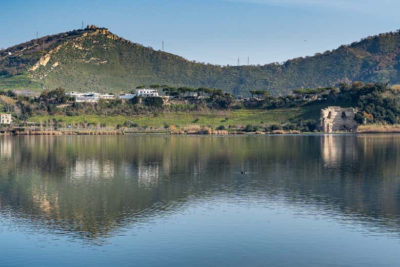 Vegetação ao redor do lago