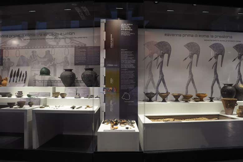 Vitrine com vestígios pré-históricos