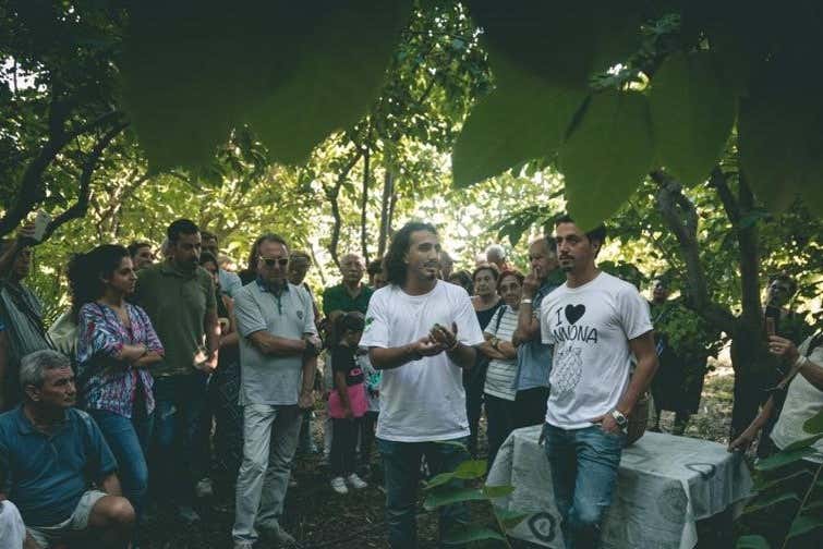 Visita à plantação da fazenda agrícola