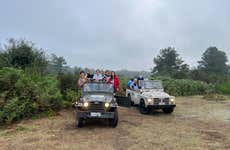 Escursione in 4x4 e trekking al Parco Nazionale dell'Aspromonte