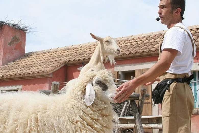 Animali da fattoria