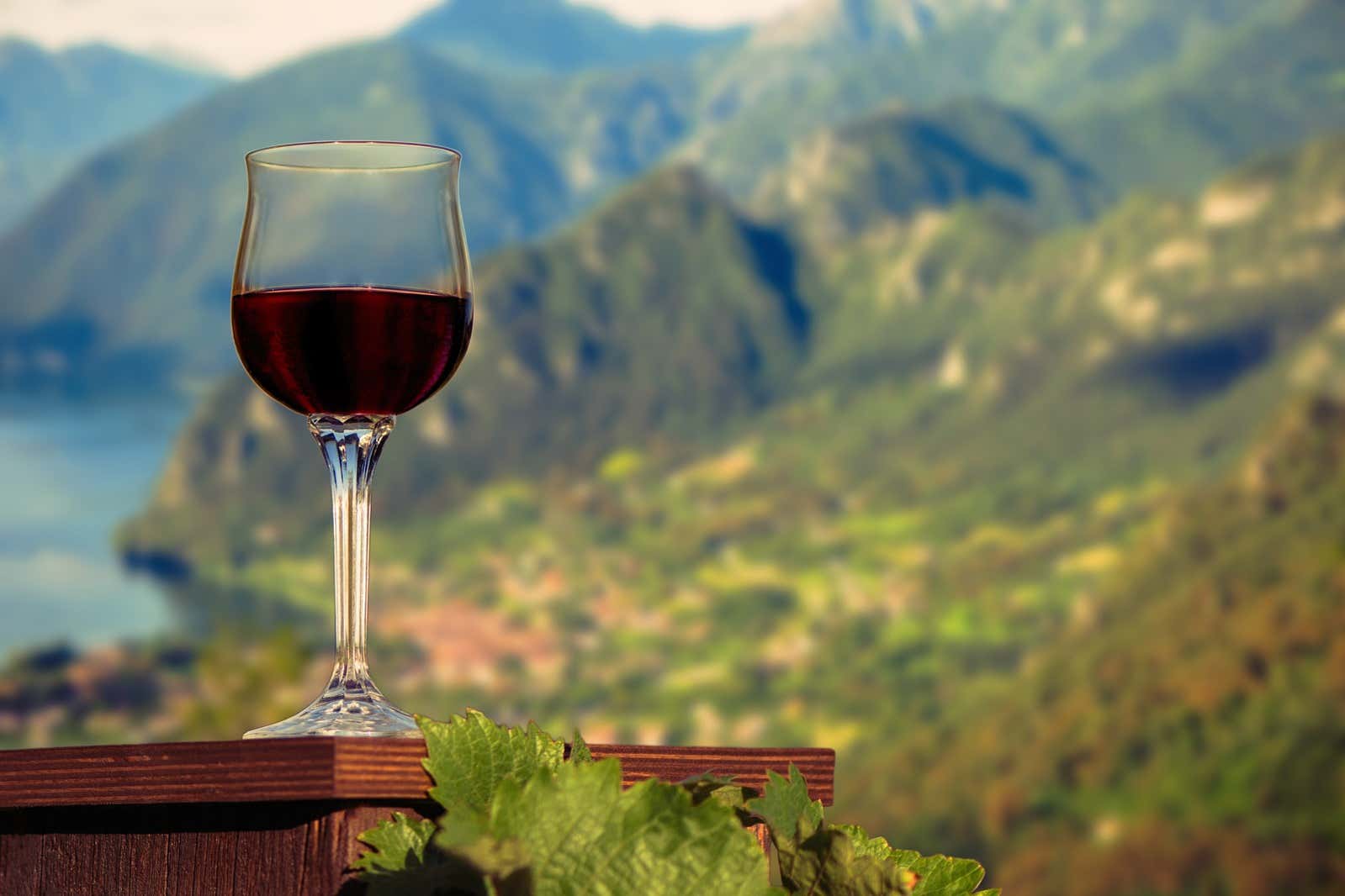 Lake Garda Winery Visit + Wine & Olive Oil Tasting, Riva del Garda