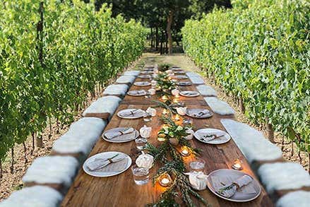 Lunch in the vineyard