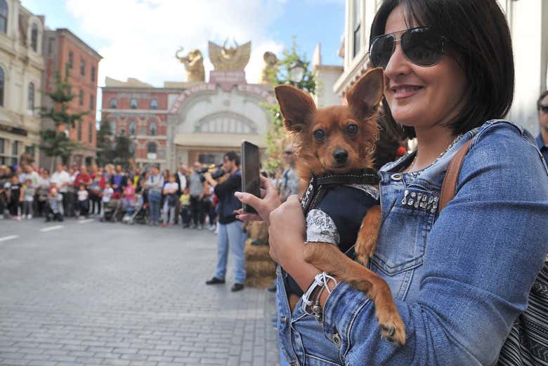 Las mascotas son bienvenidas en Cinecittà