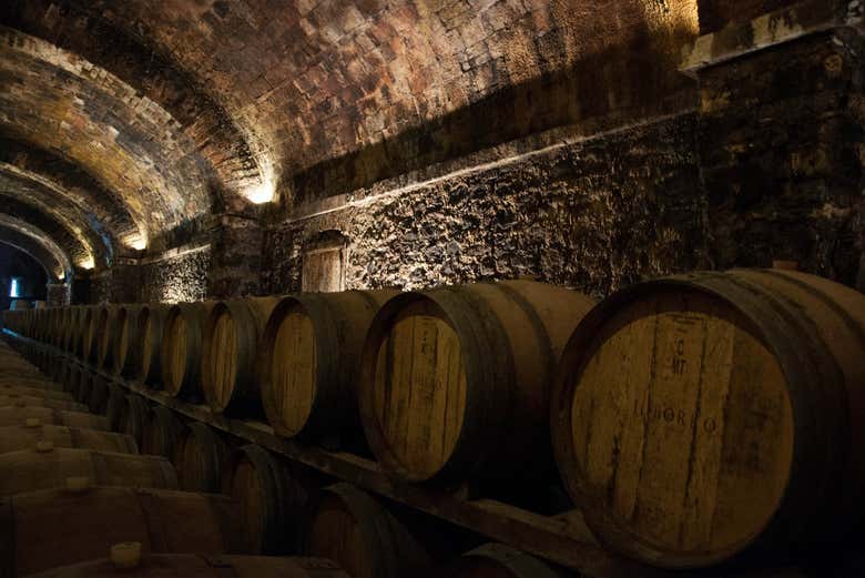 A winery with barrels of Chianti