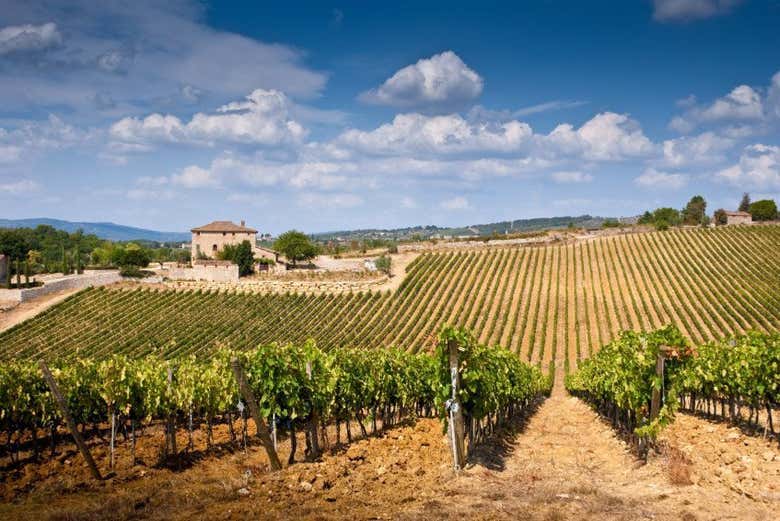 Paisaje típico de la Toscana