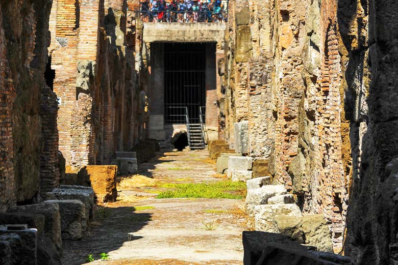 The Colosseum from below