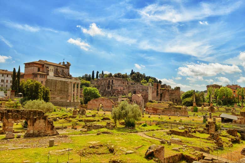 Marvel at the ruins on Palatine Hill