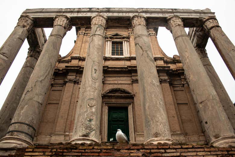 Ruins of the Palantine Hill