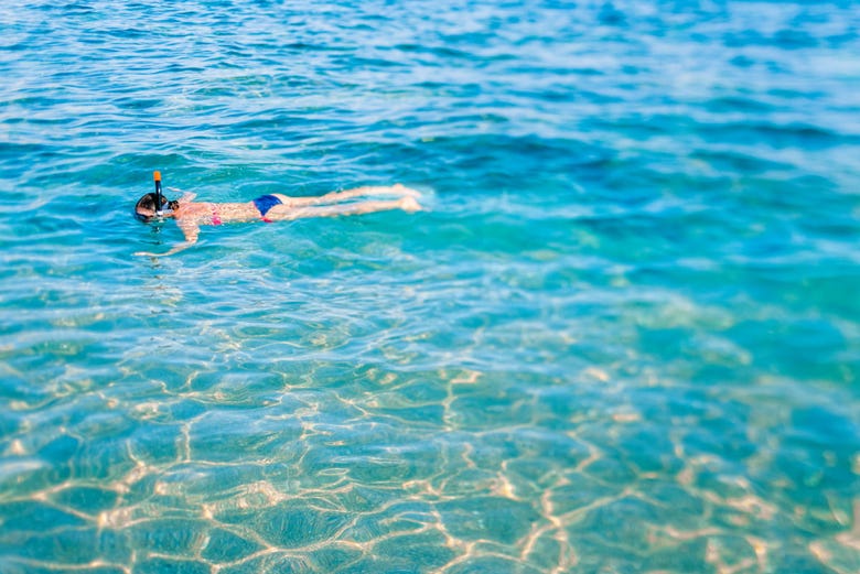 Snorkelling at Ponza Island