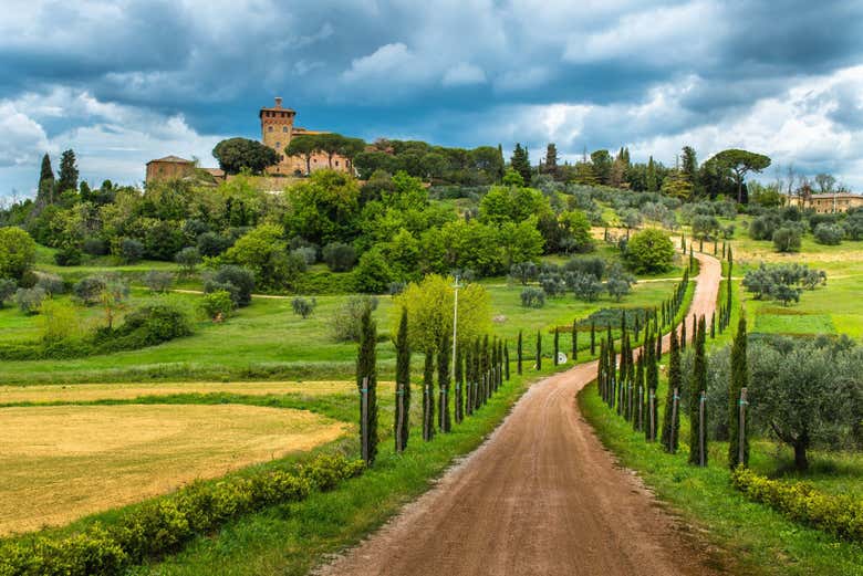 Paisajes del Chianti