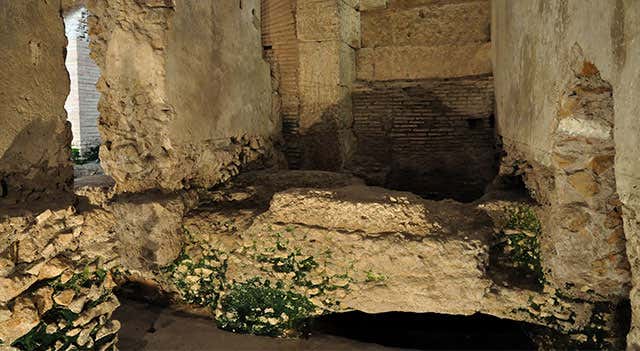 Crypta Balbi - Opening hours, tickets and how to get there – Rome image
