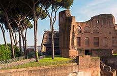 Palatino