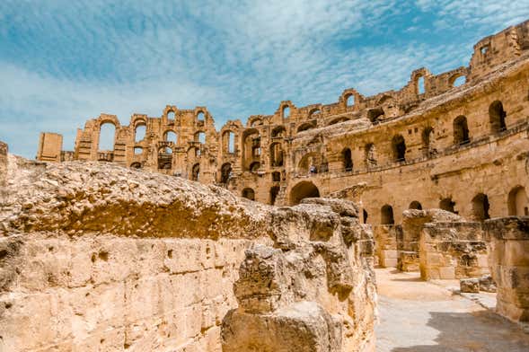 Visita guiada por el Coliseo, Foro y Palatino en grupo reducido