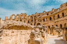 Visita guiada por el Coliseo, Foro y Palatino en grupo reducido