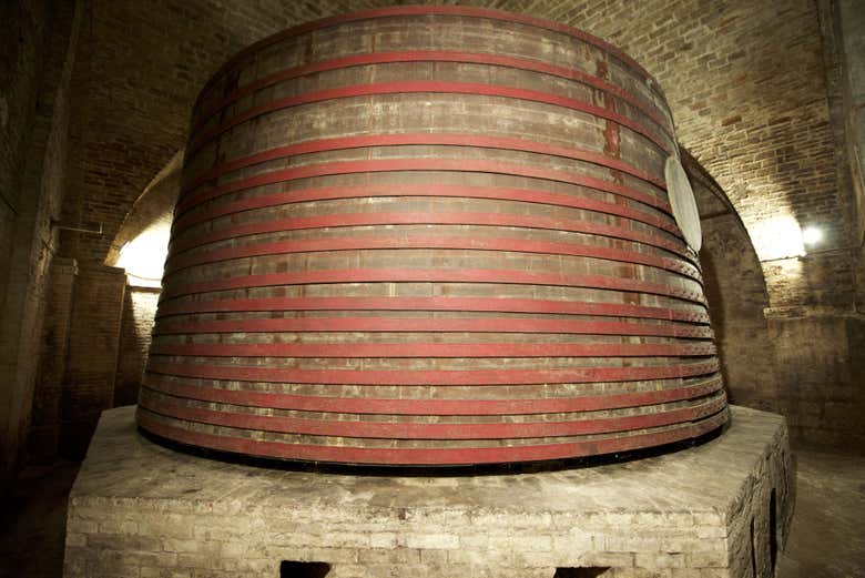 Visitando gli impianti della cantina