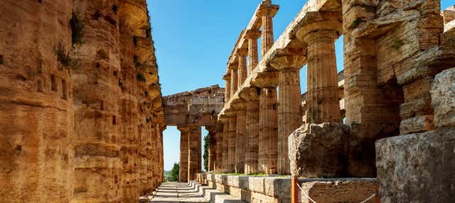 Excursión a Paestum + Visita a una fábrica de mozzarella