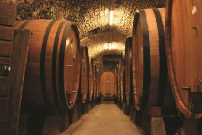 Salle des barriques