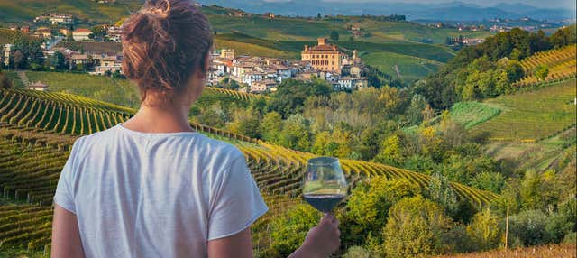 Tour del vino del Chianti