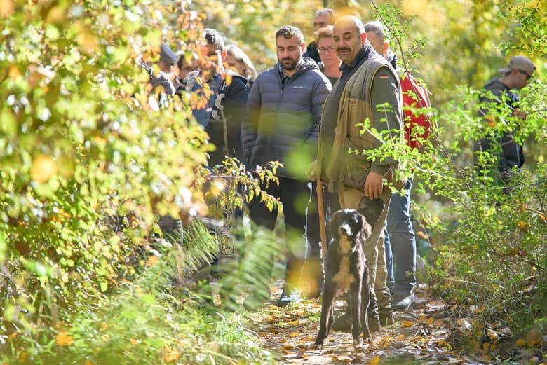 Searching for truffles