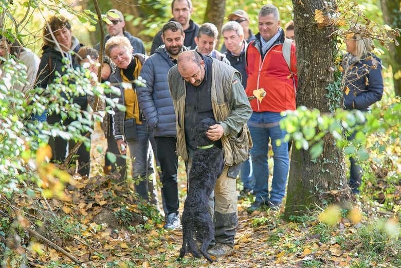 During the tour