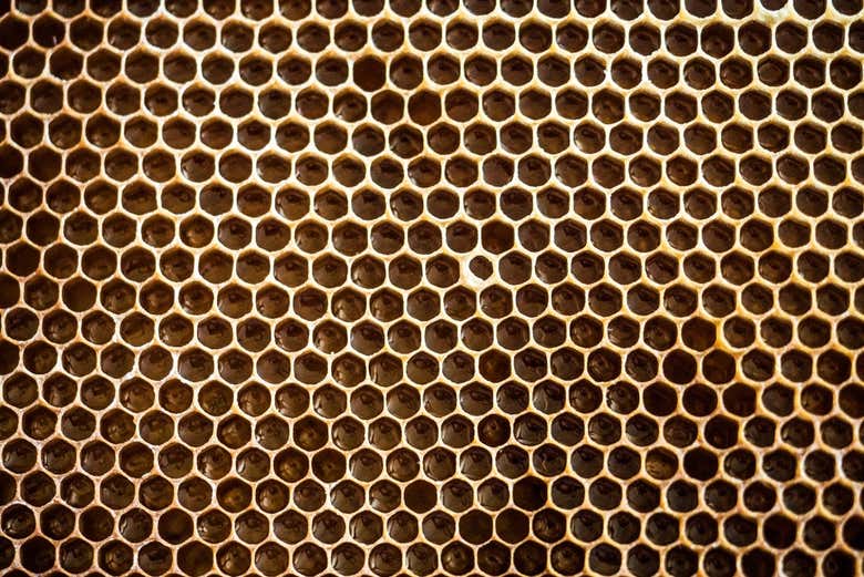 Visit to a beekeeper's house