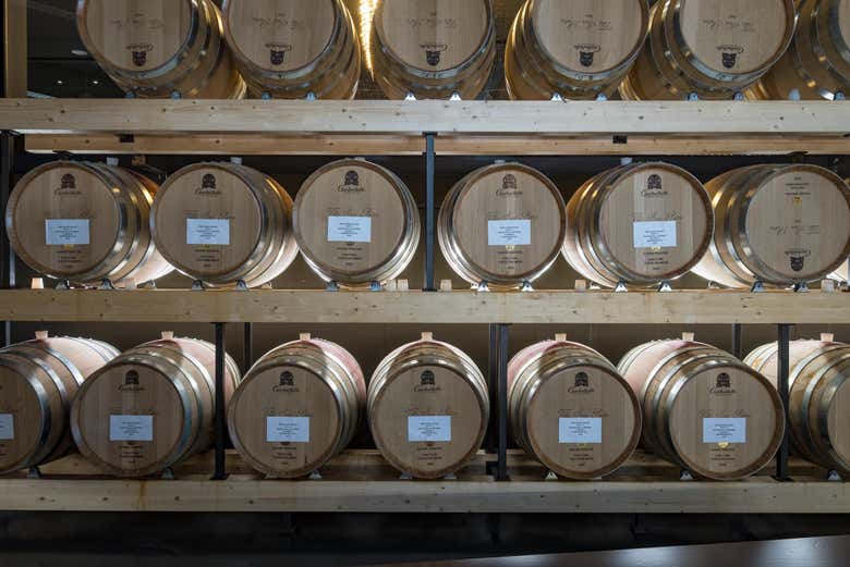 The barrels in the cellar