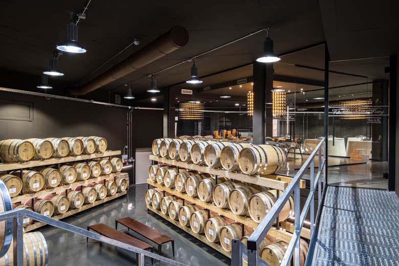 Visitando i diversi ambienti della cantina