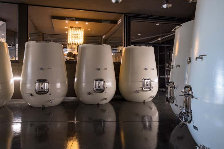 Delving into the wine production process