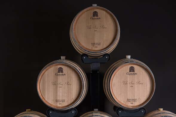 Degustazione di vino in Valpolicella