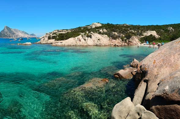 Tavolara & Punta Coda Cavallo Boat Trip